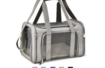 Sorting Out the Dog Carriers That Are Right for Your Pets