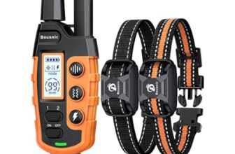 Sorting Out the Dog Training Collars That Are Right for Your Pets