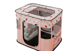 Everything You Need to Know About Buying Cat Playpens for Your Pets