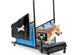 Decide Which Dog Treadmills Are Best for Your Pets