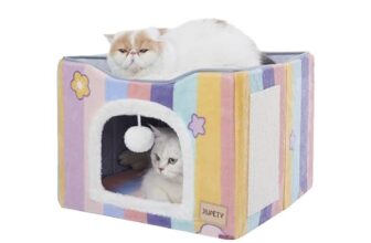 Decide Which Cat Condos Are Best for Your Pets