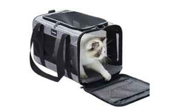 Guidelines for Choosing the Right Cat Carriers