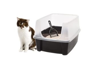 Decide Which Cat Litter Boxes Are Best for Your Pets