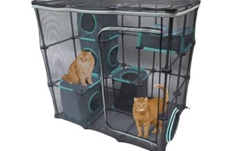 Everything You Need to Know About Buying Outdoor Cat Pens