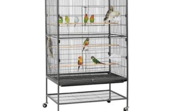 Guidelines for Choosing the Right Bird Cages