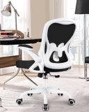 Winrise Office Chair Desk Chair, Ergonomic Mesh Computer Chair Home Office Desk Chairs, Swivel Task Chair Mid Back Breathable Rolling Chair with Adjustable Lumbar Support Flip Up Armrest (Dark Gray)