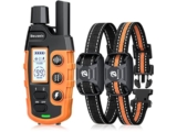Sorting Out the Dog Training Collars That Are Right for Your Pets