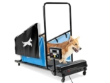 Decide Which Dog Treadmills Are Best for Your Pets