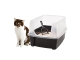 Decide Which Cat Litter Boxes Are Best for Your Pets