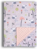 Donsonny Baby Blanket for Boys Girls Soft Minky with Double Layer Dotted Backing, Cartoon Printed 30 x 40 Inch Receiving Blanket (Baby Giraffe)