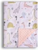 Donsonny Baby Blanket for Boys Girls Soft Minky with Double Layer Dotted Backing, Cartoon Printed 30 x 40 Inch Receiving Blanket (Cute Dinosaur)
