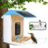 Greenvine Automatic Dog Ball Launcher Interactive Ball Thrower Fetch it Machine 6 Balls Included