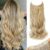 Invisible Wire Hair Extensions Long Body Wavy Hair Extensions with Transparent Headband Adjustable Size 4 clip Fish Line Secret Synthetic Hairpieces for Women 20inch(Light coffee color mixed with cream gray)