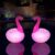 Floating Pool Lights, 2 Packs Solar Flamingo LED Pool Lights That Float, Waterproof Glow in The Dark Inflatable Solar Powered Flamingo Lights for Swimming Pool, Party, Garden, Patio, Outdoor Decor