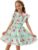 Girls Floral Dresses Flutter Ruffle Sleeve Summer Chiffon Dress for Kids 6-12 Y