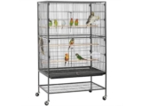 Guidelines for Choosing the Right Bird Cages
