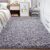 Area Rugs for Bedroom Living Room: 4×6 Super Soft Fluffy Shaggy Plush Fuzzy Rugs Carpet for Kids Girls Baby Nursery Dorm Room Teen Room Decor Grey