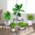 BUHAROY 5-Pack Metal Plant Stand for Outdoor Indoor Plants, Heavy Duty Flower Pot Stands for Multiple Plant, Anti-Rust Iron Round Plant Shelf for Planter, Potted Plant Holder for Garden Home