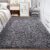 Area Rugs for Bedroom Living Room: 4×6 Super Soft Fluffy Shaggy Plush Fuzzy Rugs Carpet for Kids Girls Baby Nursery Dorm Room Teen Room Decor Dark Grey