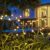 Sachie [2 Pack Solar Garden Lights, Solar Lights Outdoor Waterproof,8LED Swaying Solar Powered Firefly Lights,Garden Decor for Backyard/Outdoor/Path Yard,Landscape Lights Warm White